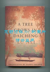 路内《花街往事》英文译本（A Tree Grows in Daicheng），陶丽萍翻译，2017年初版平装