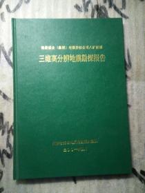 鹤壁煤业（集团）有限公司八矿深部 三维高分辨地震勘探报告