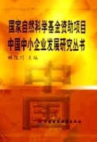 中国中小企业政府支持体系研究(7册全)