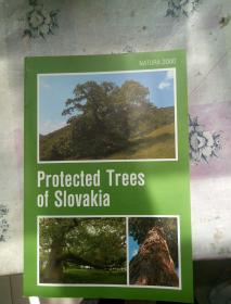 NATURA2000 Pr0tected Trees  Of Sl0VaKia