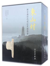 东山村——新石器时代遗址发掘报告