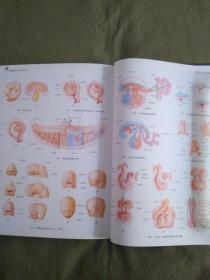解刨学与组织胚胎学图谱：2013精装、16开