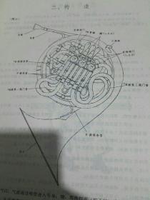 圆号演奏教程