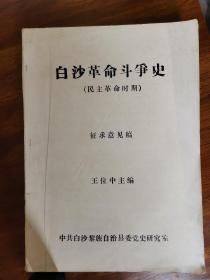 白沙革命斗争史（民主革命时期）手写稿 征求意见稿