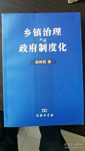 乡镇治理与政府制度化