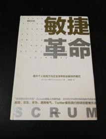 敏捷革命:提升个人创造力与企业效率的全新协作模式