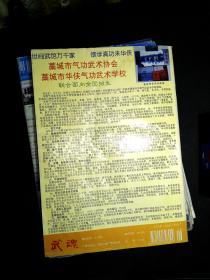 武魂1996年第6期