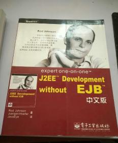 expert one-on-one J2EE Development without EJB 中文版