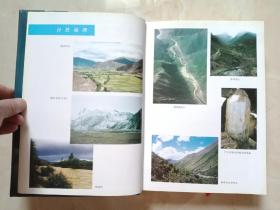 西藏自治区地方志系列丛书----山南市系列--【乃东县志】---虒人荣誉珍藏