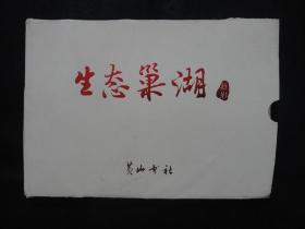 《生态巢湖掠影》摄影画片（全套16张全）【约32开大小，外纸套有些破损，内16张彩色摄影图片品相好（品相按画片设定），如图】