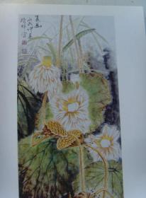 王增祥：《王增祥花鸟画选》