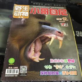 野生动物画报·小哥白尼2015年第12期