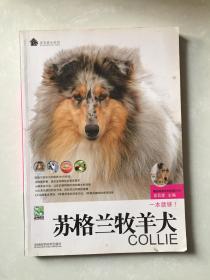 蘇格蘭牧羊犬.