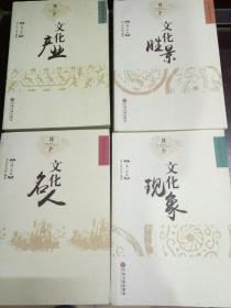 阳江 文化系列之  文化名人，文化现象，文化盛景，文化产业   4册全    中国文联出版社