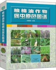 玉米种植技术书籍 粮棉油作物病虫原色图谱