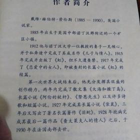 世界十大禁书<儿子与情人上下、情欲之网上下、潘上尉、好色一代男、洛丽塔、生命、衣冠禽兽、贞洁、春梦共11本合售，重4公斤多，快递至少20元>