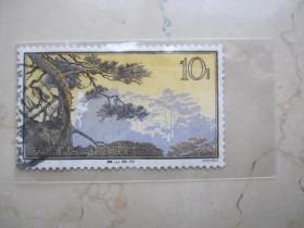 1963年 特57—黄山古松（16-11）  170622