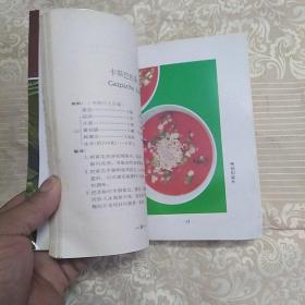 搅拌器食谱100种