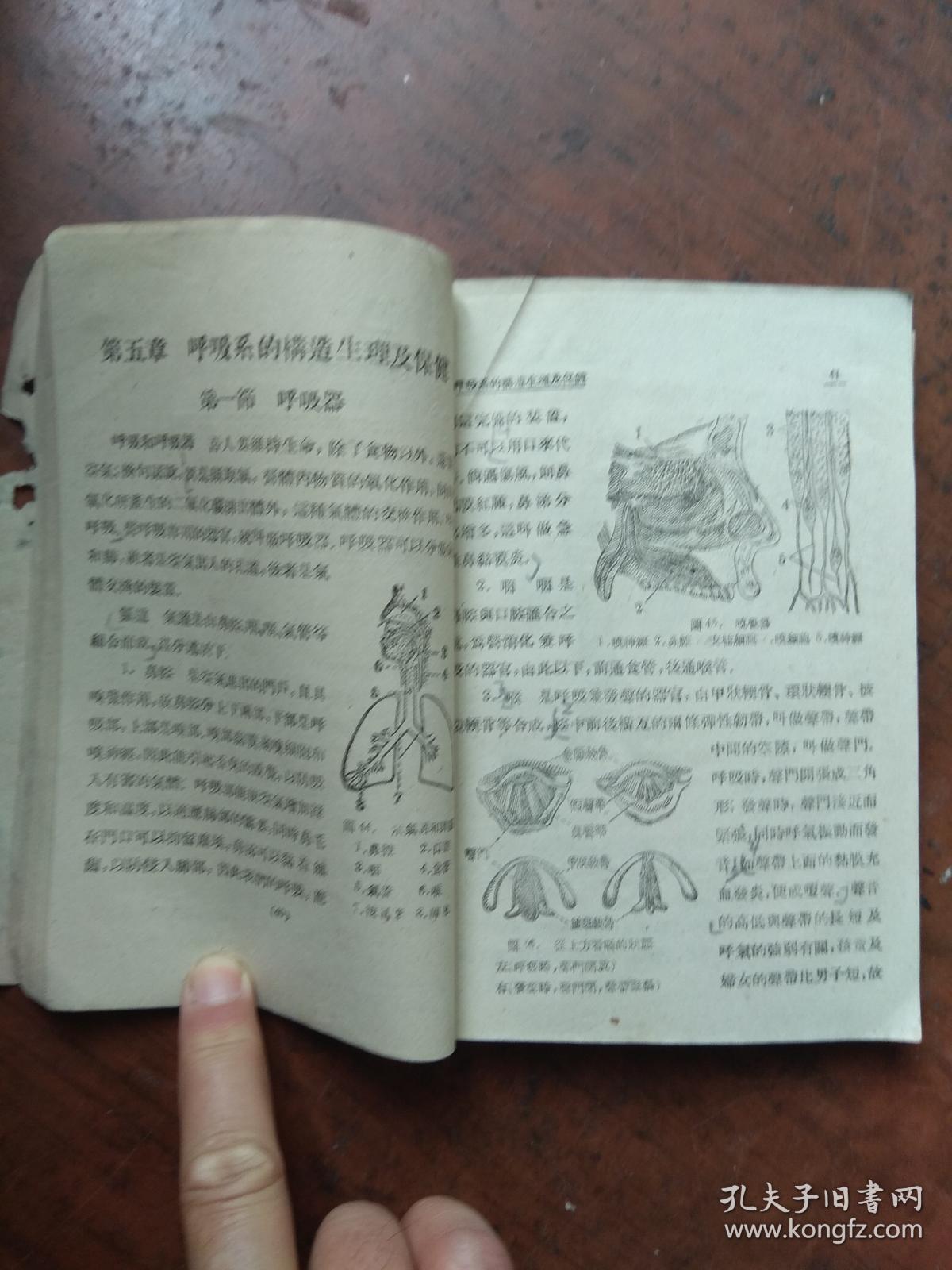 点击查看原图 新中国教科书--初级中学生理卫生学.1946年版