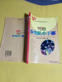 写给少先队小干部