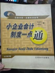 会计评审一点通系列丛书《小企业会计制度一点通》