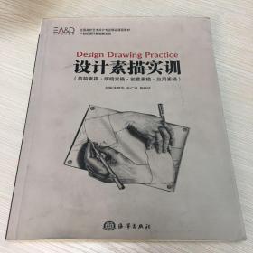 设计素描实训（结构素描·明暗素描·创意素描·应用素描）