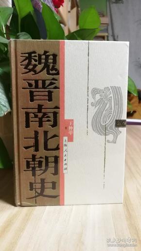 魏晋南北朝史