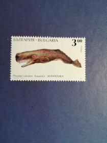 外国邮票  保加利亚邮票 1995年 南极动物 鲸鱼（无邮戳新票 ）