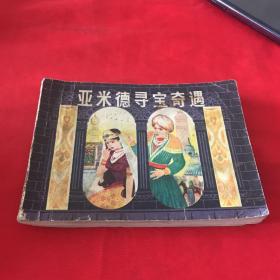 亚米德寻宝奇遇