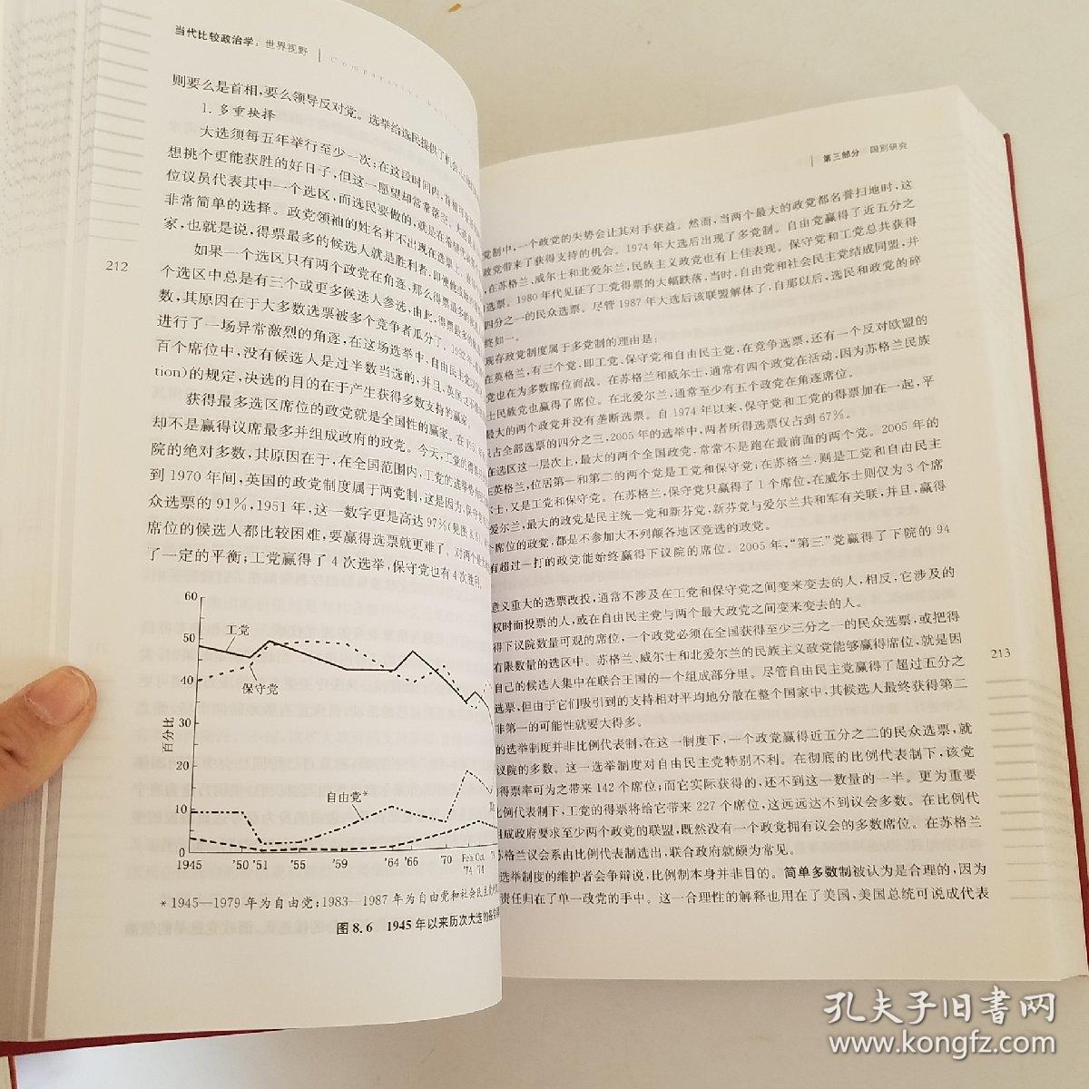 当代比较政治学：世界视野（第八版）