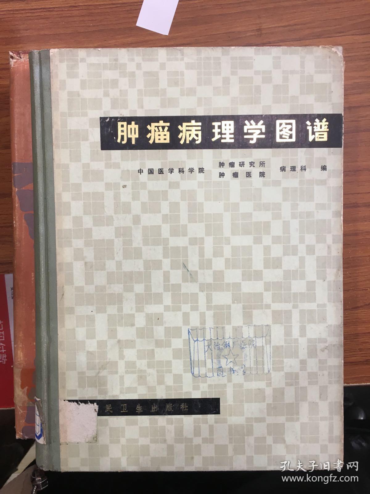 肿瘤病理学图谱 Y218