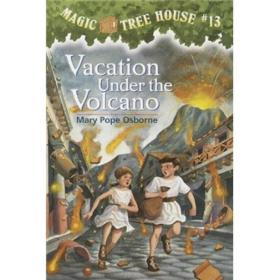 Vacation Under the Volcano