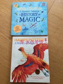 魔法历史展览书 魔法之旅合集Harry Potter: A Journey Through A History of Magic  Harry Potter: History of Magic Book of Exhibition