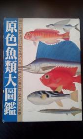 原色鱼类大图鉴   原色魚類大図鑑   【包邮】