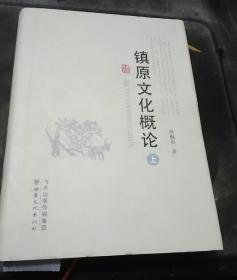 镇原文化概论   上
