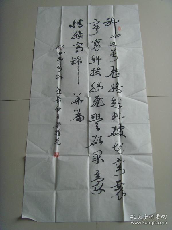 梁耀光：书法：神舟九号颂（云南名家）