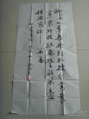 梁耀光：书法：神舟九号颂（云南名家）