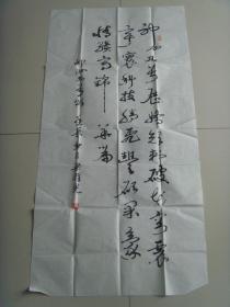 梁耀光：书法：神舟九号颂（云南名家）