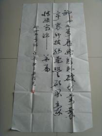 梁耀光：书法：神舟九号颂（云南名家）