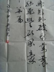 梁耀光：书法：神舟九号颂（云南名家）