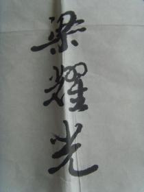 梁耀光：书法：神舟九号颂（云南名家）