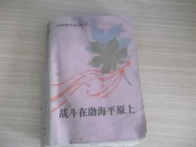 战斗在渤海平原上245