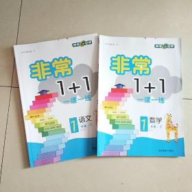 小学一年级下册《非常1+1》语文数学