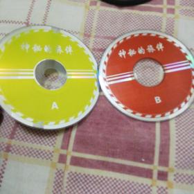 神秘的旅伴 2VCD