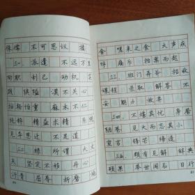 中学语文词语：楷书钢笔字帖   刘子强  书