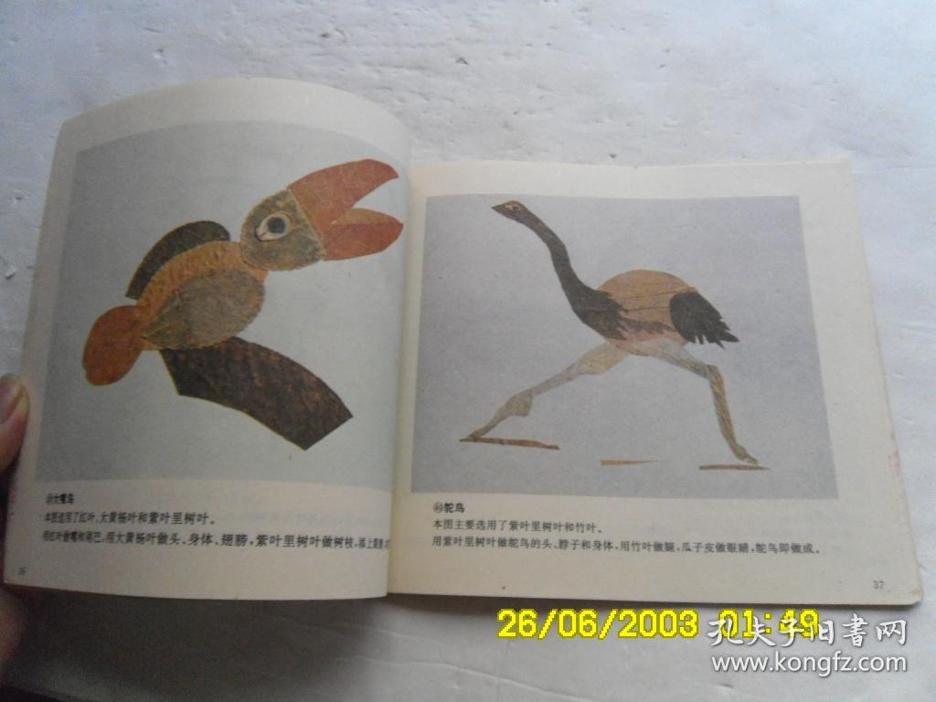 宝宝知识宝库、儿童树叶贴画游戏、彩图版、请自已看淸图、售后不退货