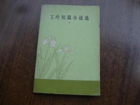 丁玲短篇小说选    下册