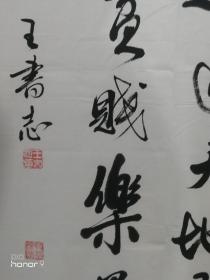 王书志，男，1949年2月生，河南省西平县人。 
    1987年至1989年参加江苏无锡书法艺专函授学习。多年来，书法作品参加市、省及全国性赛展活动中多次获奖；在本市中小学举办过四次个人书法展；驻马店电视台、河南电视台曾四次对其书法作品及艺术生活作过专题报道。 
    现为河南省书法家协会会员、台湾海峡两岸文化交流协会理事、中国五台山书法艺术研究会理事。
 