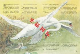 安徒生童话绘图本——沼泽王的女儿