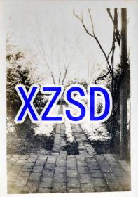 江苏南通传教区附近的小巷，大约1900-1932年(翻拍)